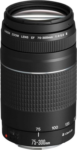 Canon 300mm 5 6 iii - 75-300mm,
