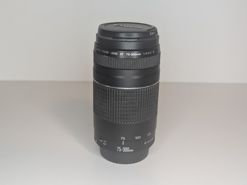 Canon 300mm 5 - canon, f4-5.6