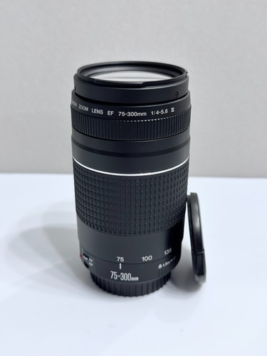 Canon 300 4 5 6 - ef, f/4-5.6