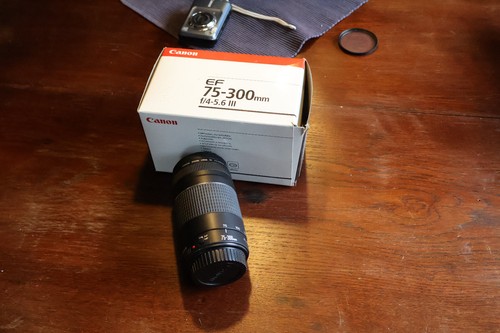 Canon 300 4 0 5 - ef, mm