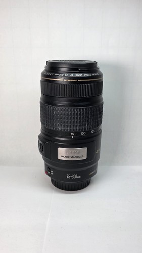 Canon 300 4 - mm, f/4-5.6