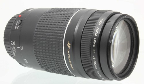 Canon zoom lens 300mm - lens, 75-300mm
