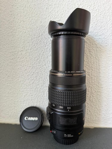 Canon 300mm 5 6 - ef, 75-300mm