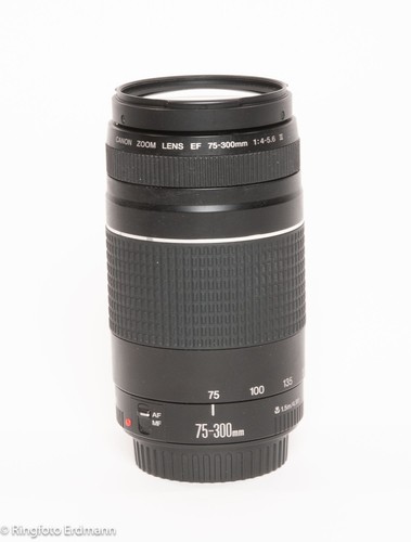 Canon 300 4 - ef, mm