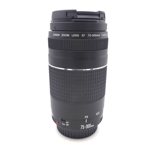 Canon zoom lens 300mm - zoom, ef