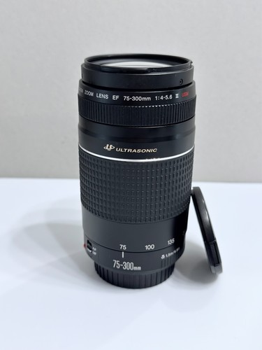 Canon 300 4 - ef, iii