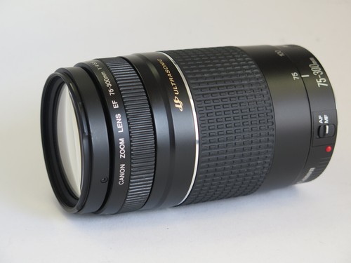 Canon 300 4 - ef, f/4.0-5.6
