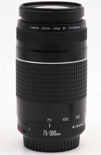 Canon 300mm 5 - ef, 75-300mm