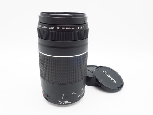 Canon zoom lens 300mm - canon,