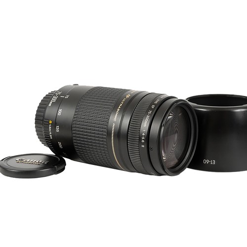 Canon 300 4 5 - canon, mm