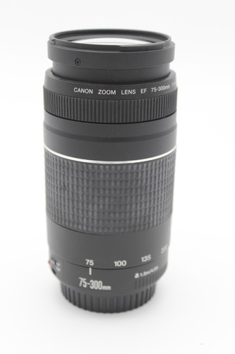 Canon 300 4 - canon, ef