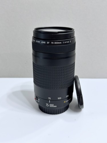 Canon 300 4 - 75-300, mm