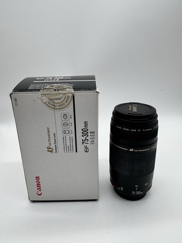 Canon 300 mm ultrasonic - ef,
