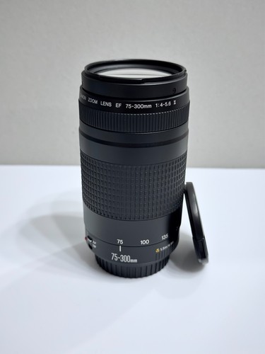 Canon 300 4 - 75-300, f/4-5.6