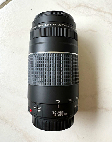 Canon 300mm 4 5 - canon, 75-300mm