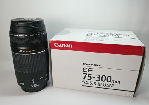 Canon 300mm 5 6 - canon, iii