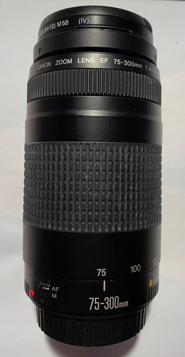 Canon zoom objektiv - lens, ef