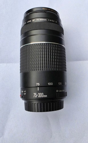 Canon 300mm 5 6 - canon, ef