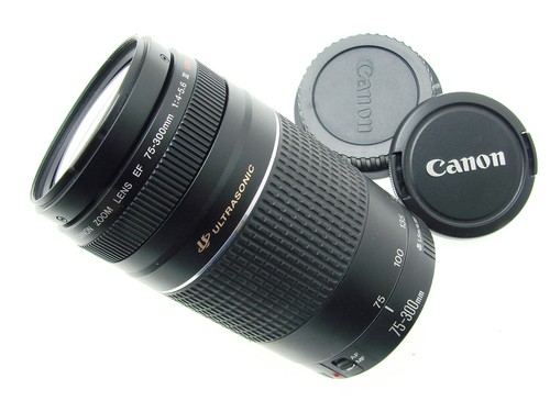 Canon 300mm 6 iii ef - canon,