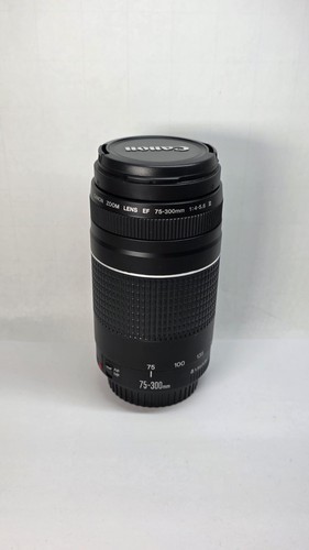 Canon 300mm 5 - ef, 75-300mm