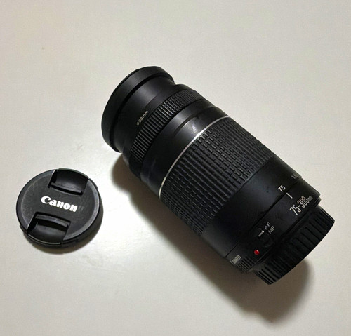 Canon 300mm 4 - ef, 75-300mm