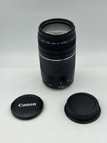 Canon zoom 300mm 4 - canon,