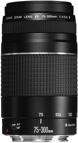 Canon objektiv 300 mm - ef,