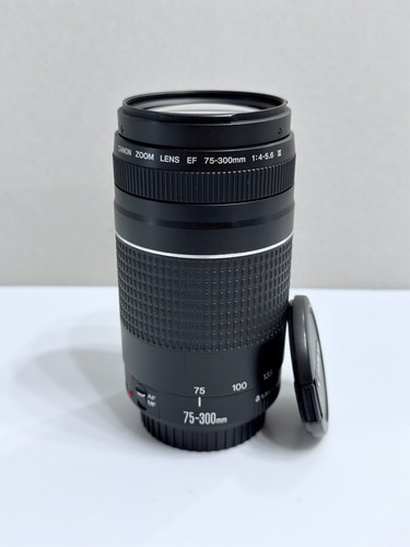 Canon 300 4 - f/4-5.6, iii