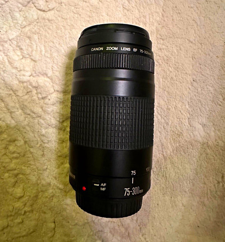 Canon 300mm 4 - ef, f/4-5,6